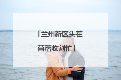 兰州新区头茬苜蓿收割忙