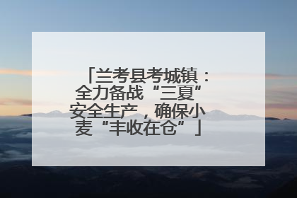 兰考县考城镇：全力备战“三夏”安全生产，确保小麦“丰收在仓”