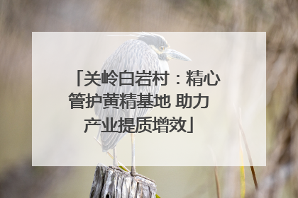 关岭白岩村：精心管护黄精基地 助力产业提质增效