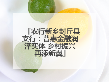 农行新乡封丘县支行：普惠金融润泽实体 乡村振兴再添新翼
