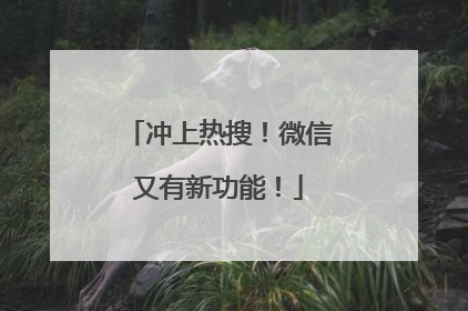 冲上热搜！微信又有新功能！