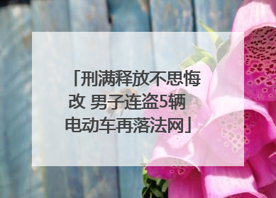 刑满释放不思悔改 男子连盗5辆电动车再落法网