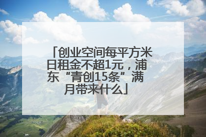 创业空间每平方米日租金不超1元，浦东“青创15条”满月带来什么