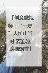 创意微视频｜“三夏”大忙正当时 麦浪滚滚穗飘香
