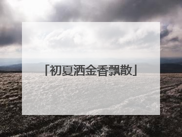 初夏洒金香飘散