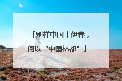 别样中国丨伊春，何以“中国林都”
