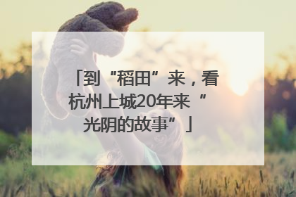 到“稻田”来，看杭州上城20年来“光阴的故事”
