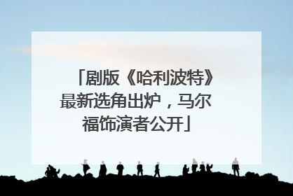 剧版《哈利波特》最新选角出炉，马尔福饰演者公开