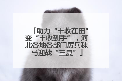 助力“丰收在田”变“丰收到手”，河北各地各部门厉兵秣马迎战“三夏”