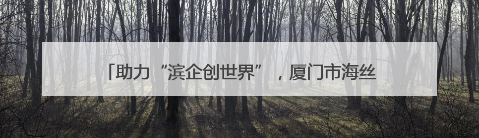 助力“滨企创世界”，厦门市海丝域外法查明中心·滨州中心揭牌