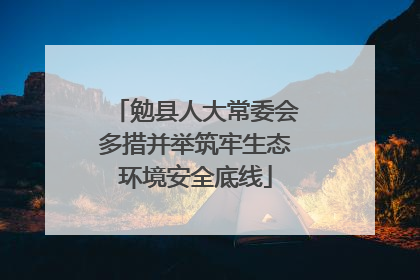 勉县人大常委会多措并举筑牢生态环境安全底线