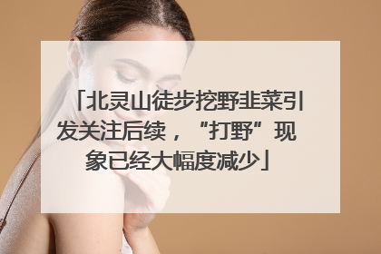 北灵山徒步挖野韭菜引发关注后续，“打野”现象已经大幅度减少