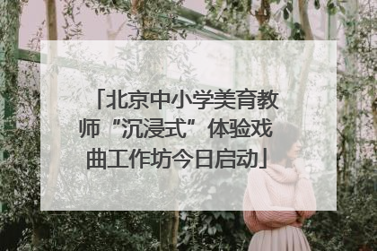 北京中小学美育教师“沉浸式”体验戏曲工作坊今日启动