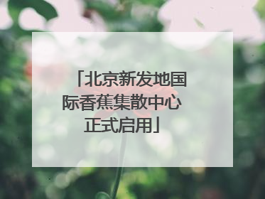 北京新发地国际香蕉集散中心正式启用
