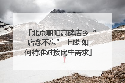北京朝阳高碑店乡“店念不忘” 上线 如何精准对接民生需求