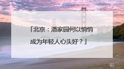 北京：潘家园何以悄悄成为年轻人心头好？