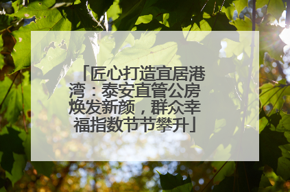 匠心打造宜居港湾：泰安直管公房焕发新颜，群众幸福指数节节攀升