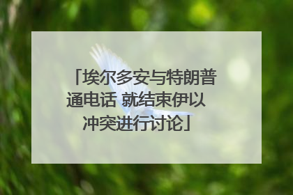 埃尔多安与特朗普通电话 就结束伊以冲突进行讨论