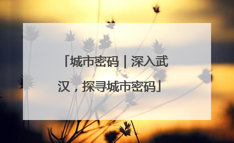 城市密码｜深入武汉，探寻城市密码