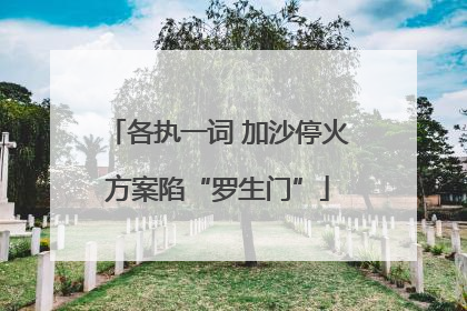 各执一词 加沙停火方案陷“罗生门”