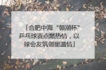 合肥中海“领潮杯”乒乓球赛点燃热情，以球会友筑邻里温情