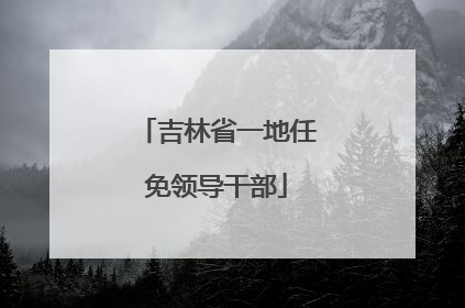 吉林省一地任免领导干部