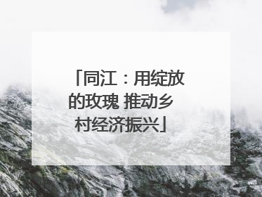 同江：用绽放的玫瑰 推动乡村经济振兴