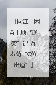 同江：闲置土地“逆袭”记 万寿菊“C位出道”