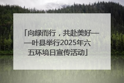 向绿而行，共赴美好——叶县举行2025年六五环境日宣传活动