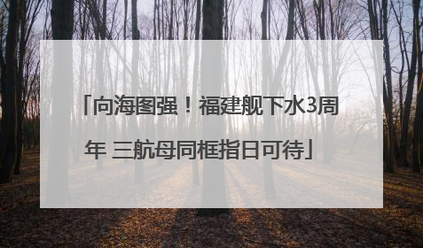 向海图强！福建舰下水3周年 三航母同框指日可待