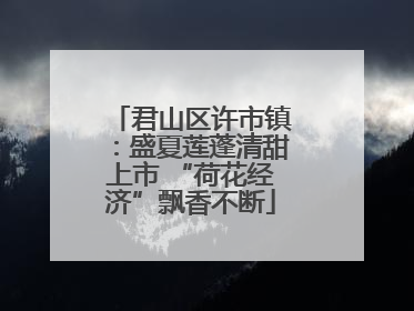 君山区许市镇：盛夏莲蓬清甜上市 “荷花经济”飘香不断