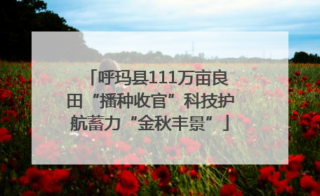 呼玛县111万亩良田“播种收官”科技护航蓄力“金秋丰景”