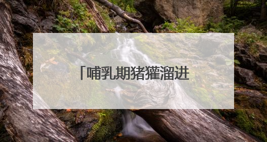 哺乳期猪獾溜进村民家觅食 村民救助后将其放生