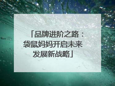 品牌进阶之路：袋鼠妈妈开启未来发展新战略