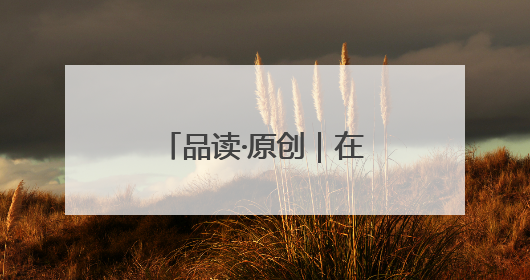品读·原创｜在这里，永远想不出会遇到什么动物
