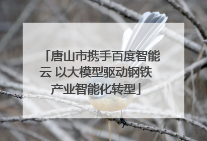 唐山市携手百度智能云 以大模型驱动钢铁产业智能化转型