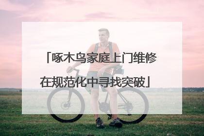 啄木鸟家庭上门维修在规范化中寻找突破