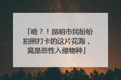 啥？！昆明市民纷纷拍照打卡的这片花海，竟是恶性入侵物种
