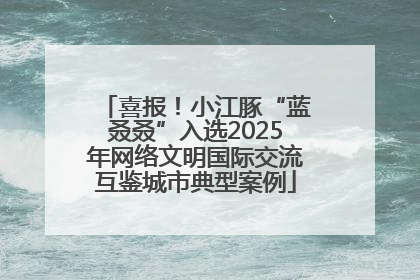 喜报！小江豚“蓝叒叒”入选2025年网络文明国际交流互鉴城市典型案例
