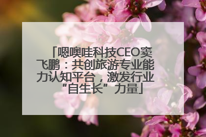 嗯噢哇科技CEO窦飞鹏：共创旅游专业能力认知平台，激发行业“自生长”力量