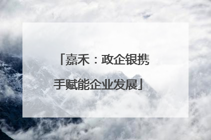 嘉禾：政企银携手赋能企业发展