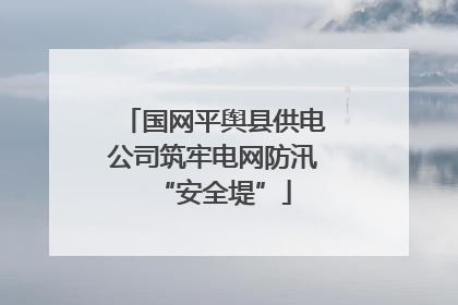 国网平舆县供电公司筑牢电网防汛“安全堤”