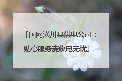 国网潢川县供电公司：贴心服务麦收电无忧