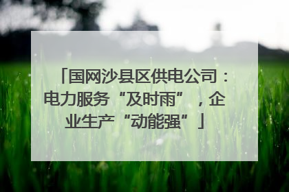 国网沙县区供电公司：电力服务“及时雨”，企业生产“动能强”