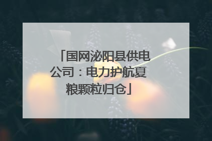 国网泌阳县供电公司：电力护航夏粮颗粒归仓