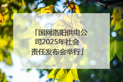 国网洛阳供电公司2025年社会责任发布会举行