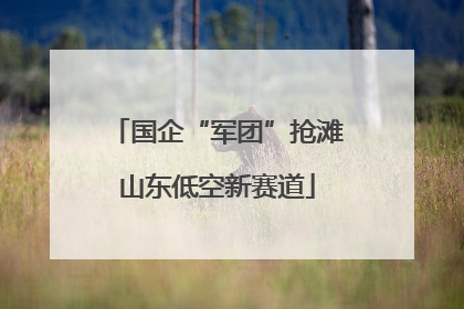 国企“军团”抢滩山东低空新赛道