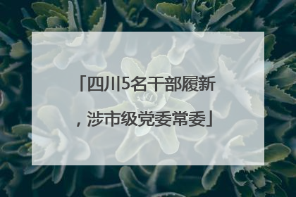 四川5名干部履新，涉市级党委常委