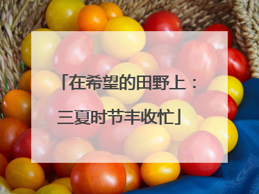 在希望的田野上：三夏时节丰收忙