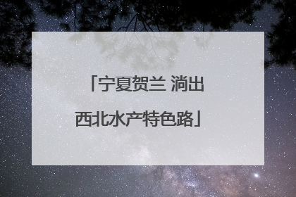 宁夏贺兰 淌出西北水产特色路